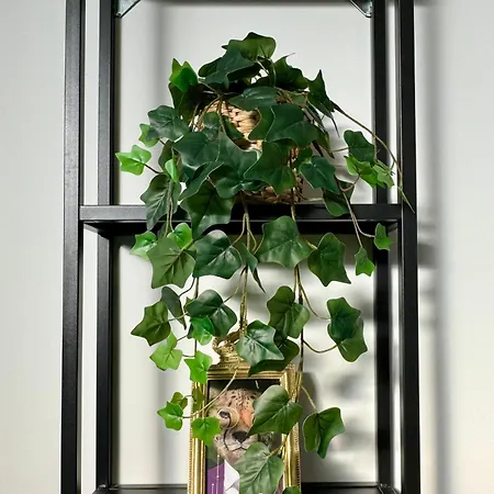 The Place Apartman Bologna