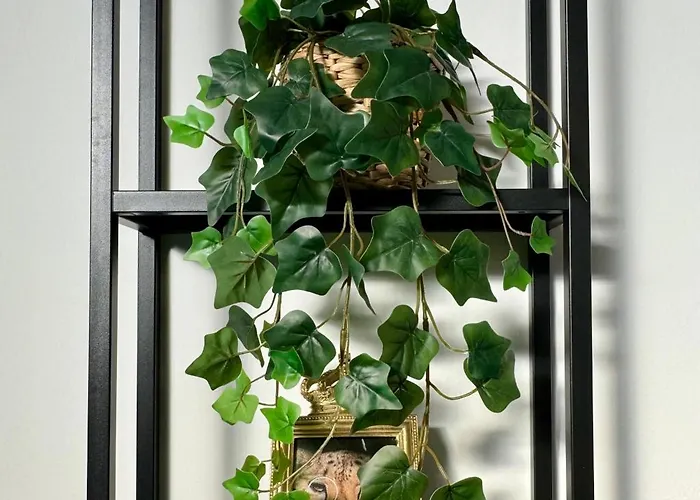 The Place Lägenhet Bologna